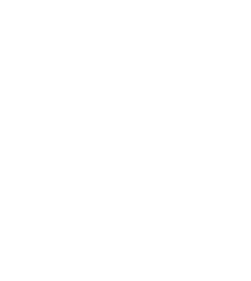 logo-CERDP